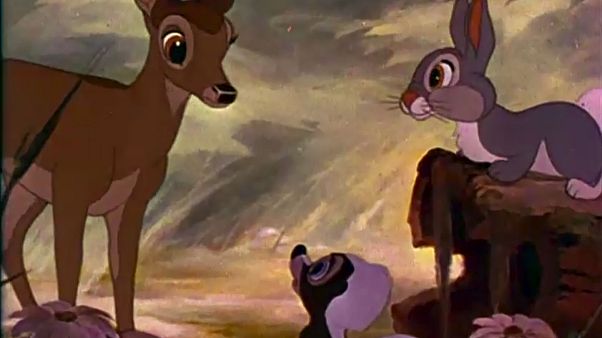 ABD: Geyik avcısına hapiste 'Bambi' çizgi filmi izleme cezası ABD: Geyik avcısına hapiste 'Bambi' çizgi filmi izleme cezası