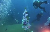 شاهد:  شجرة عيد الميلاد تزيّن قاع البحر قبالة السواحل القبرصية