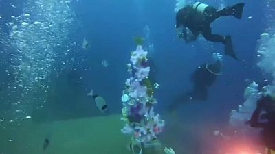 شاهد:  شجرة عيد الميلاد تزيّن قاع البحر قبالة السواحل القبرصية