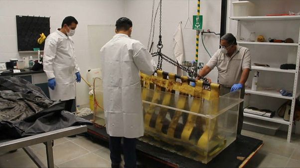 El difícil y peligroso trabajo de los forenses en Ciudad Juárez El difícil y peligroso trabajo de los forenses en Ciudad Juárez