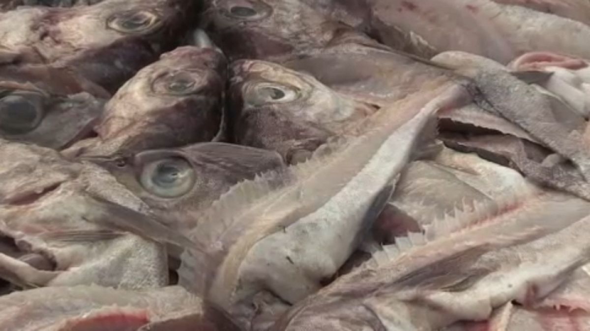 ЕС: квоты на вылов рыбы и морепродуктов согласованы