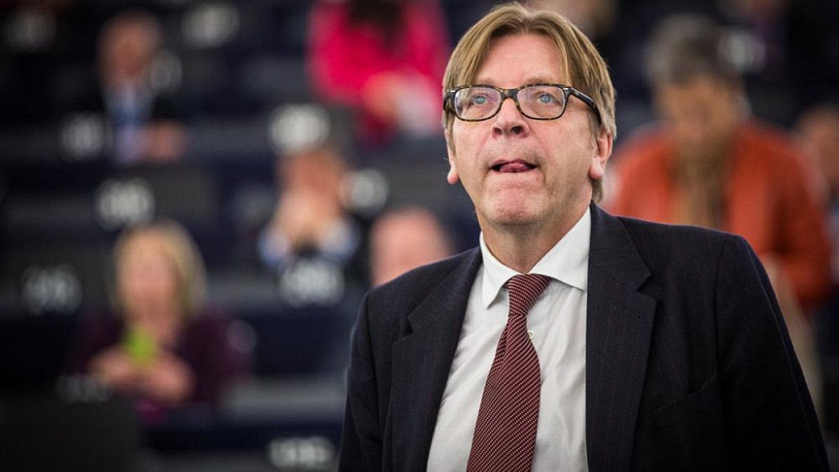 Nach Euronews-Enthüllungen: Verhofstadt fordert Facebook auf, "falsches Video" zu löschen