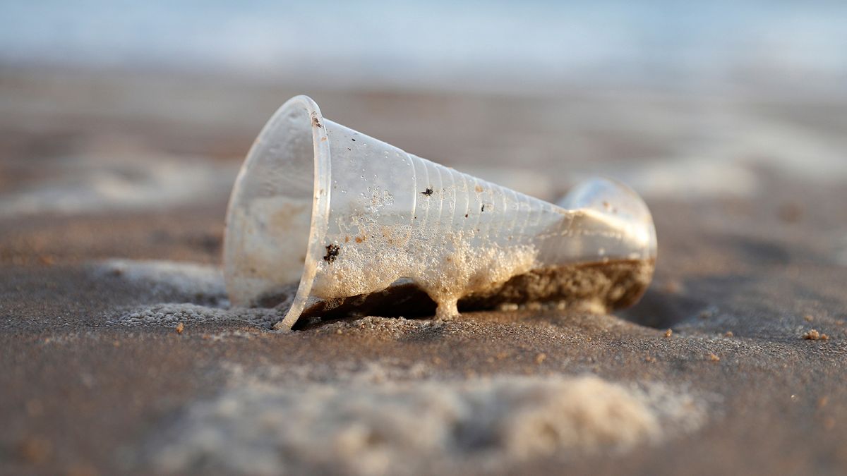 Acabar com a poluição dos plásticos nos oceanos: um projeto de 2018 para o futuro