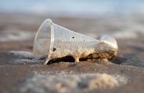 Inquinamento: l'Unione Europea e la messa al bando dei materiali plastici