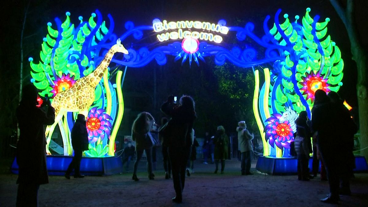 Óriási világító állatokat állítottak ki a párizsi Növénykertben