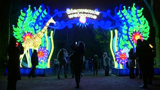 Espetáculo de lanternas e luzes destaca espécies ameaçadas no mundo