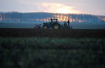 By banning pesticides and GMOs, the EU is sleepwalking into a food security crisis | View