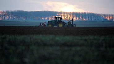 En interdisant les OGM et les pesticides, l’UE cède aux croyances dangereuses | Point de vue En interdisant les OGM et les pesticides, l’UE cède aux croyances dangereuses | Point de vue
