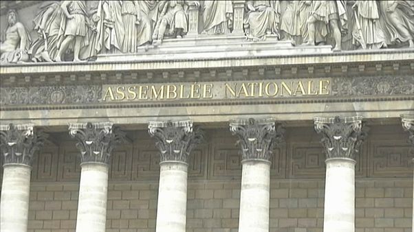 Парламент Франции поддержал президента Парламент Франции поддержал президента