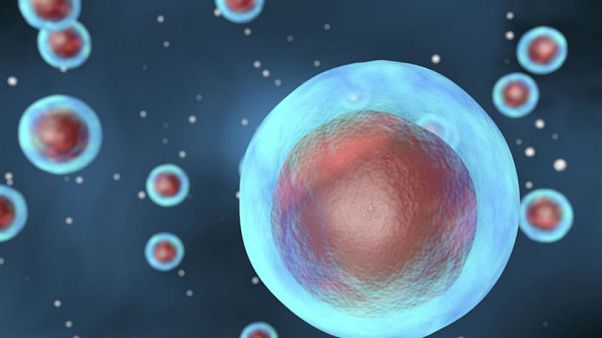 Amerikan Science Dergisi: 2018'in en çığır açıcı atılımları hücre çalışmalarından çıktı Amerikan Science Dergisi: 2018'in en çığır açıcı atılımları hücre çalışmalarından çıktı
