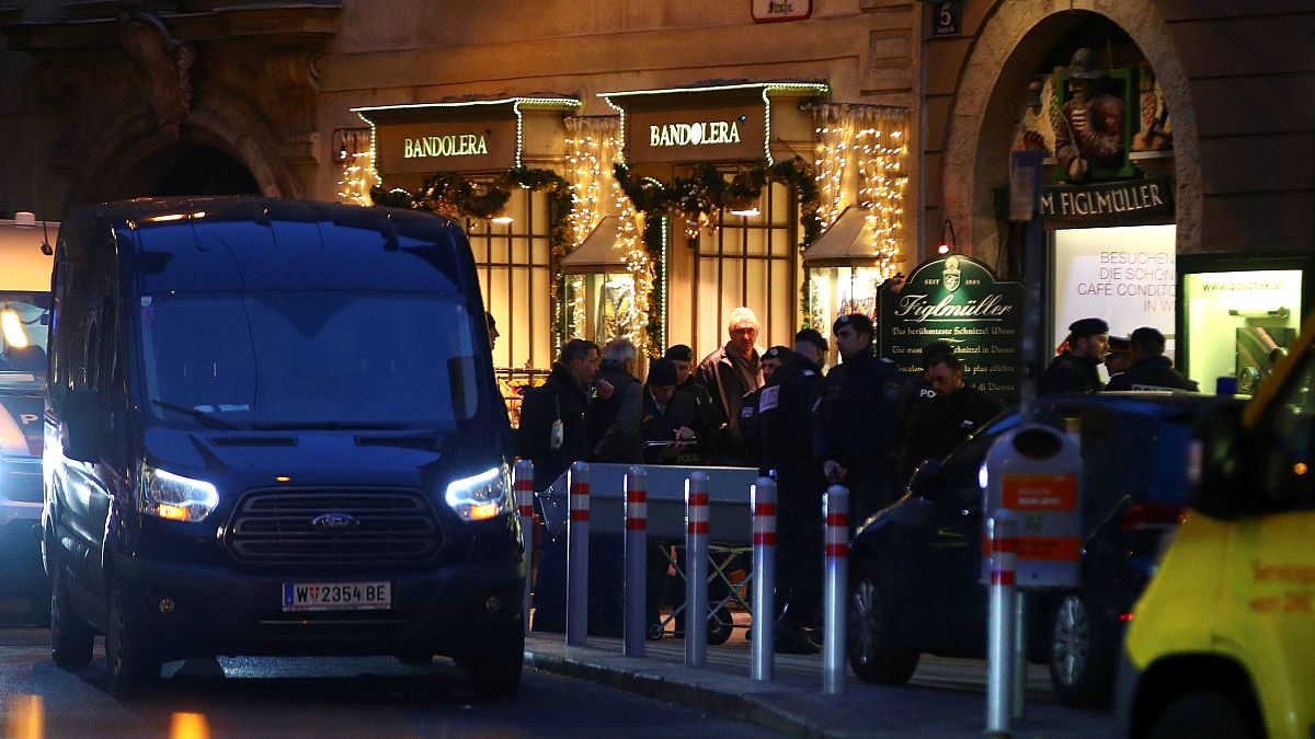 Schießerei in Wien: Fahndung nach Mafia-Täter?
