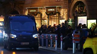 Schießerei in Wien: Fahndung nach Mafia-Täter?