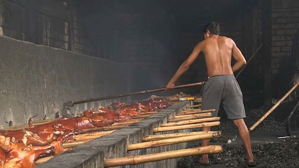 "خنزير الحليب" الطبق الفلبيني التقليدي في أعياد الميلاد ورأس السنة "خنزير الحليب" الطبق الفلبيني التقليدي في أعياد الميلاد ورأس السنة