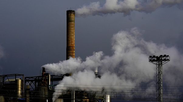 Francia: record di firme per una petizione sul clima Francia: record di firme per una petizione sul clima