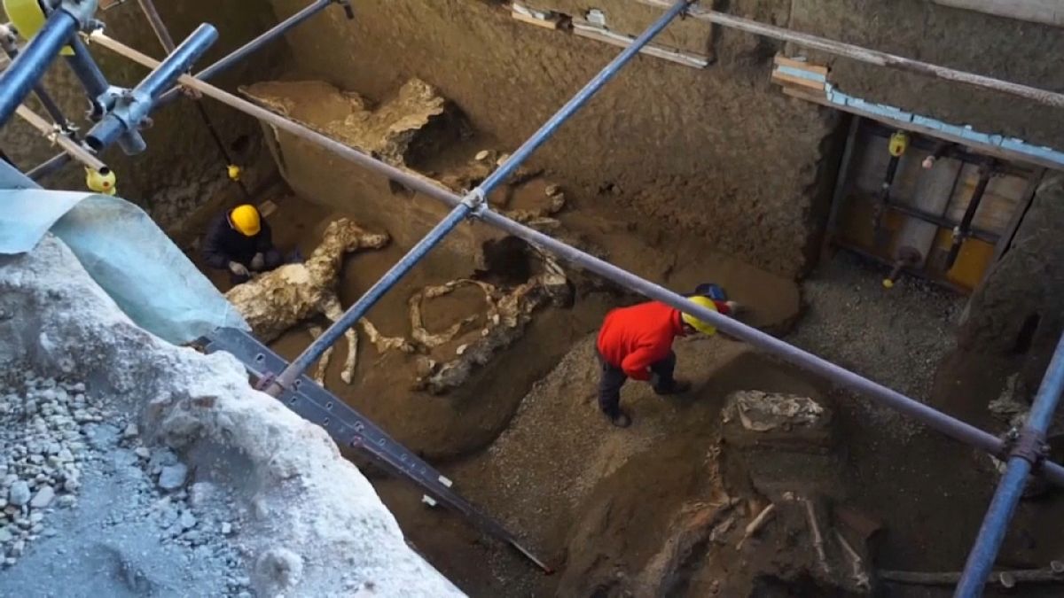 Encontrados em Pompeia restos mortais de cavalos