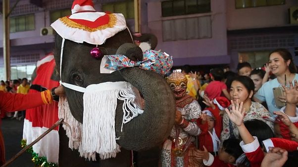 Des pères Noël à dos d'éléphant Des pères Noël à dos d'éléphant