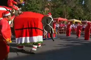 Watch: elephants dressed up as Santa interact with children