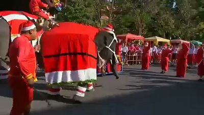 Watch: elephants dressed up as Santa interact with children