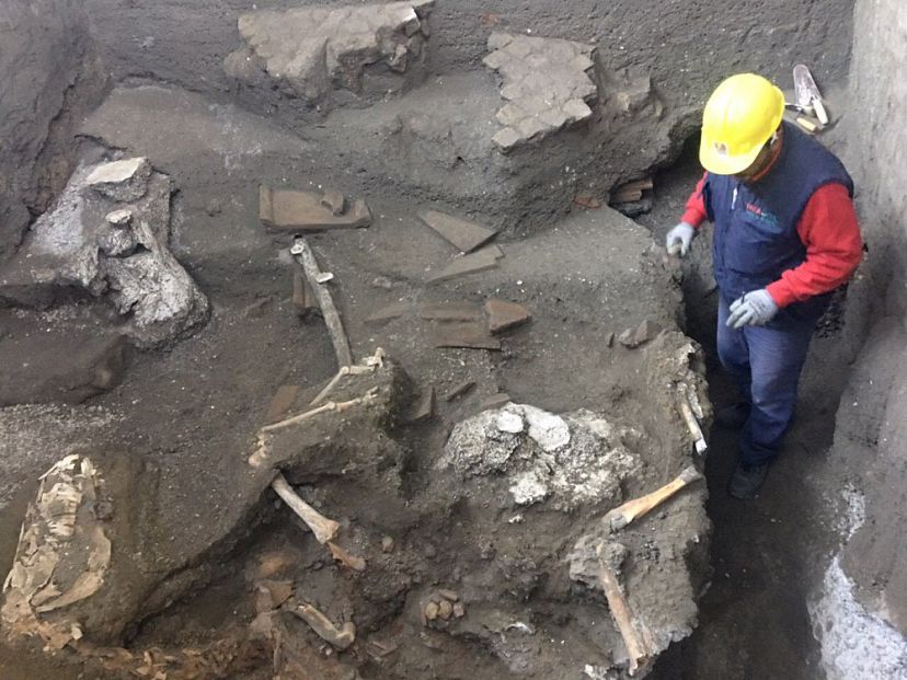 'A Very Rare Find': Archaeologists Uncover Remains Of Saddled Horse ...