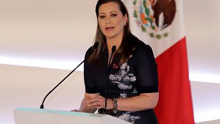 Meksika'da helikopter kazası: Muhalif vali ve senatör eşi öldü