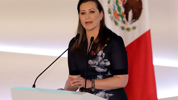 Meksika'da helikopter kazası: Muhalif vali ve senatör eşi öldü Meksika'da helikopter kazası: Muhalif vali ve senatör eşi öldü