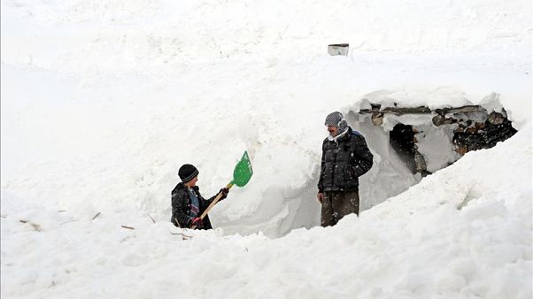 Aşağı Narlıca Mahallesi, Çatak, Van Aşağı Narlıca Mahallesi, Çatak, Van