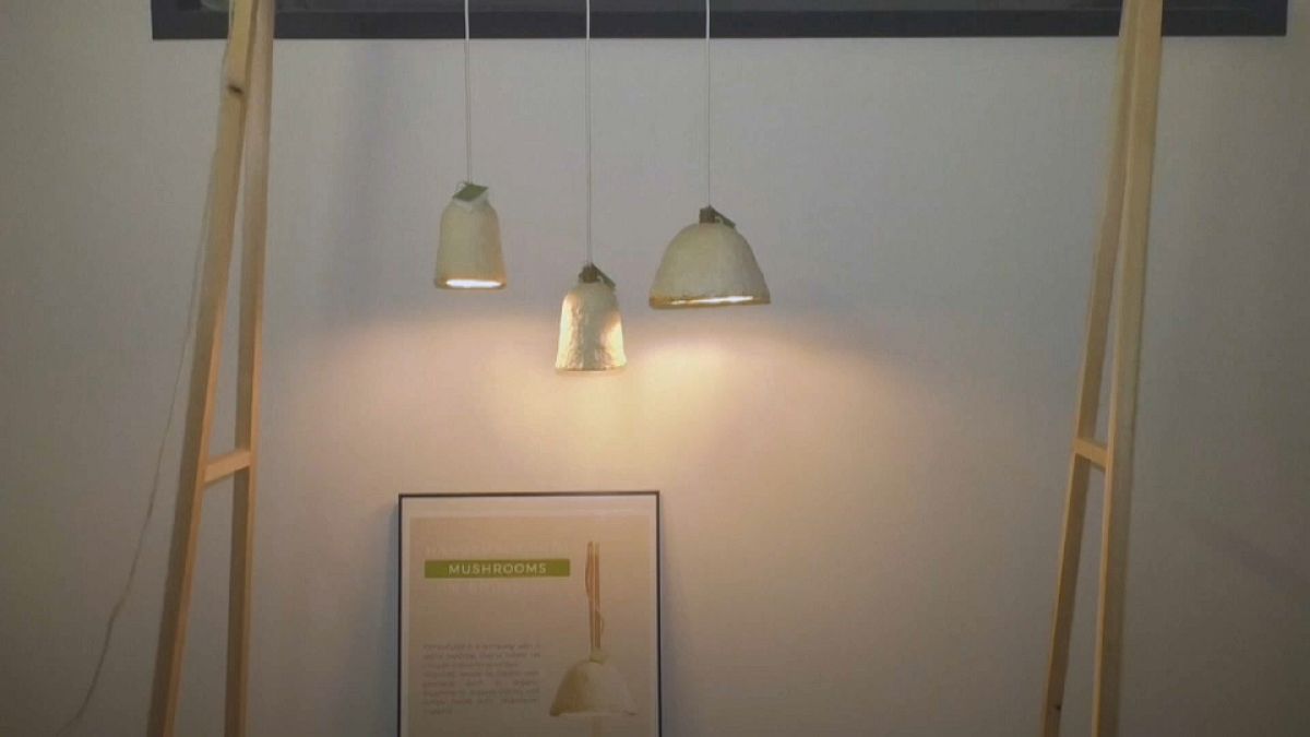Eco-designer turns mushrooms into lampshades