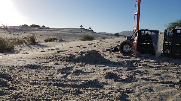 Furti di sabbia in Sardegna: 100 chili riportati a Porto Pino Furti di sabbia in Sardegna: 100 chili riportati a Porto Pino