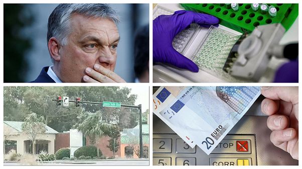 Top 2018: OLAF, rák elleni kutatás, időjárás és az állandó alapjövedelem Top 2018: OLAF, rák elleni kutatás, időjárás és az állandó alapjövedelem