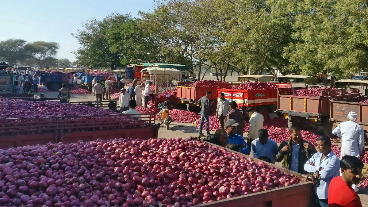 براندازی با پیاز و سیب‌زمینی؛ کشاورزان هندی دولت را تهدید کردند 