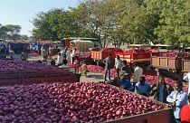 براندازی با پیاز و سیب‌زمینی؛ کشاورزان هندی دولت را تهدید کردند 