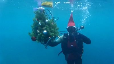 Divers put Christmas tree at bottom of lake in Russia