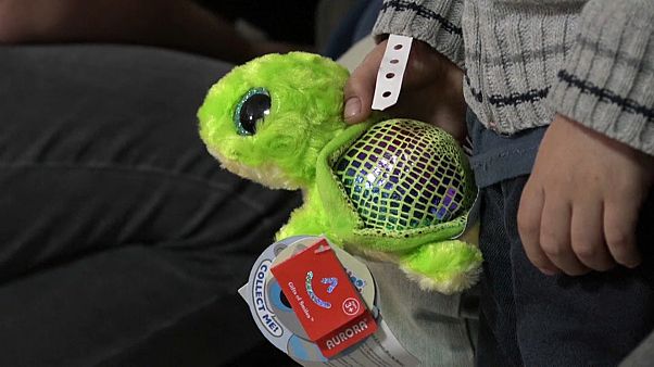 Россия хочет эвакуировать сотни детей предполагаемых бойцов ИГИЛ Россия хочет эвакуировать сотни детей предполагаемых бойцов ИГИЛ