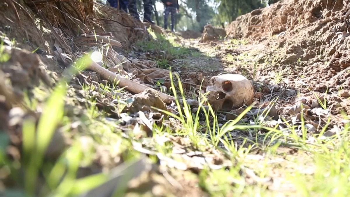 Children's remains discovered in mass grave in Iraq