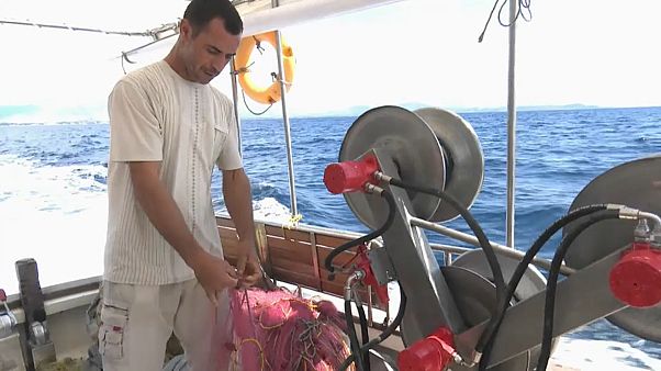 Grecia recompensa a los héroes de Mati Grecia recompensa a los héroes de Mati
