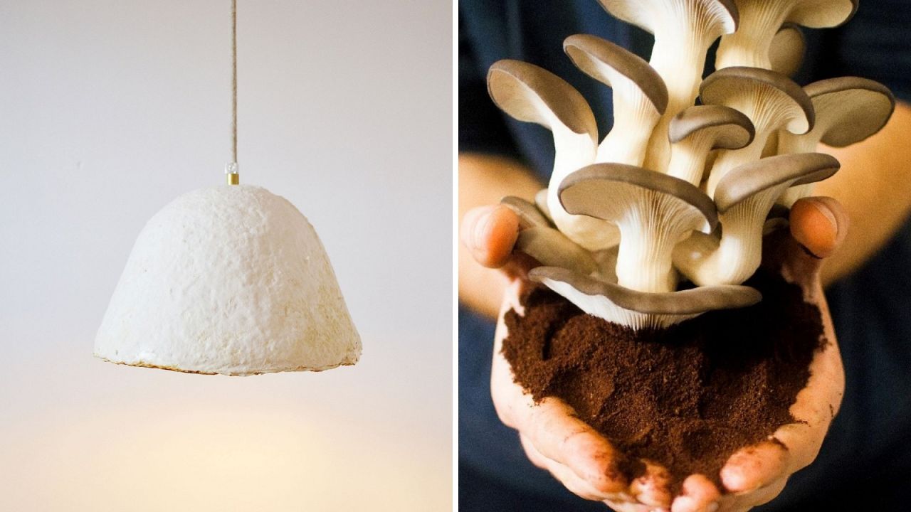 Watch Mushroom Lampshades Grown From Discarded Coffee Grounds It S