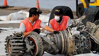 Endonezya: 189 yolcunun öldüğü uçak kazasında 2. kara kutu arama çalışmaları durduruldu