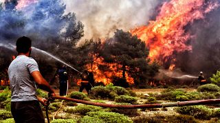Tűzoltók és önkéntesek küzdenek a tűzzel a görög Lutrakinál július 24-én