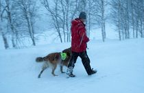 A rescue worker and his dog search for the four missing skiers