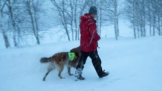 A rescue worker and his dog search for the four missing skiers