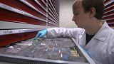 Darmkrebs - Biobanken helfen bei der Früherkennung