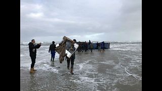 Treasure hunters pick up goods from washed up cargo shipments 