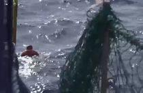 شاهد: إنقاذ مهاجر ليبي قفز من سفينة إنقاذ للوصول سباحة إلى مالطا