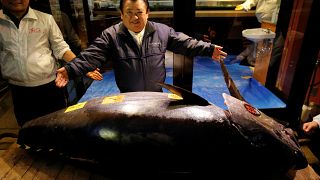 Kiyoshi Kimura poses with a 278kg bluefin tuna