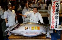 Голубой тунец за три миллиона долларов