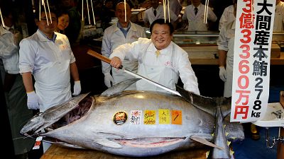 Endangered blue fin tuna gets record price at Tokyo fish market