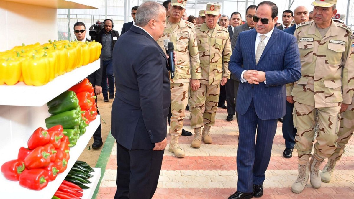Mısır hükümetinden 'Sisi - İsrail işbirliğine' sansür çabası