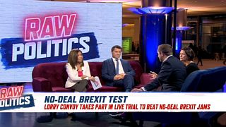 Brexit: Has anything changed for May in 2019? | Raw Politics