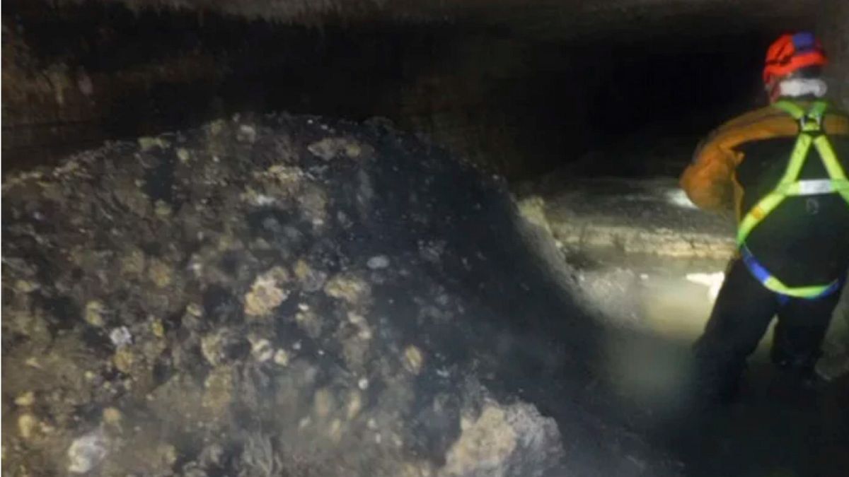 'Monster fatberg', bigger than the Tower of Pisa, discovered in Devon