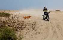 Hiérarchie bousculée sur le Dakar